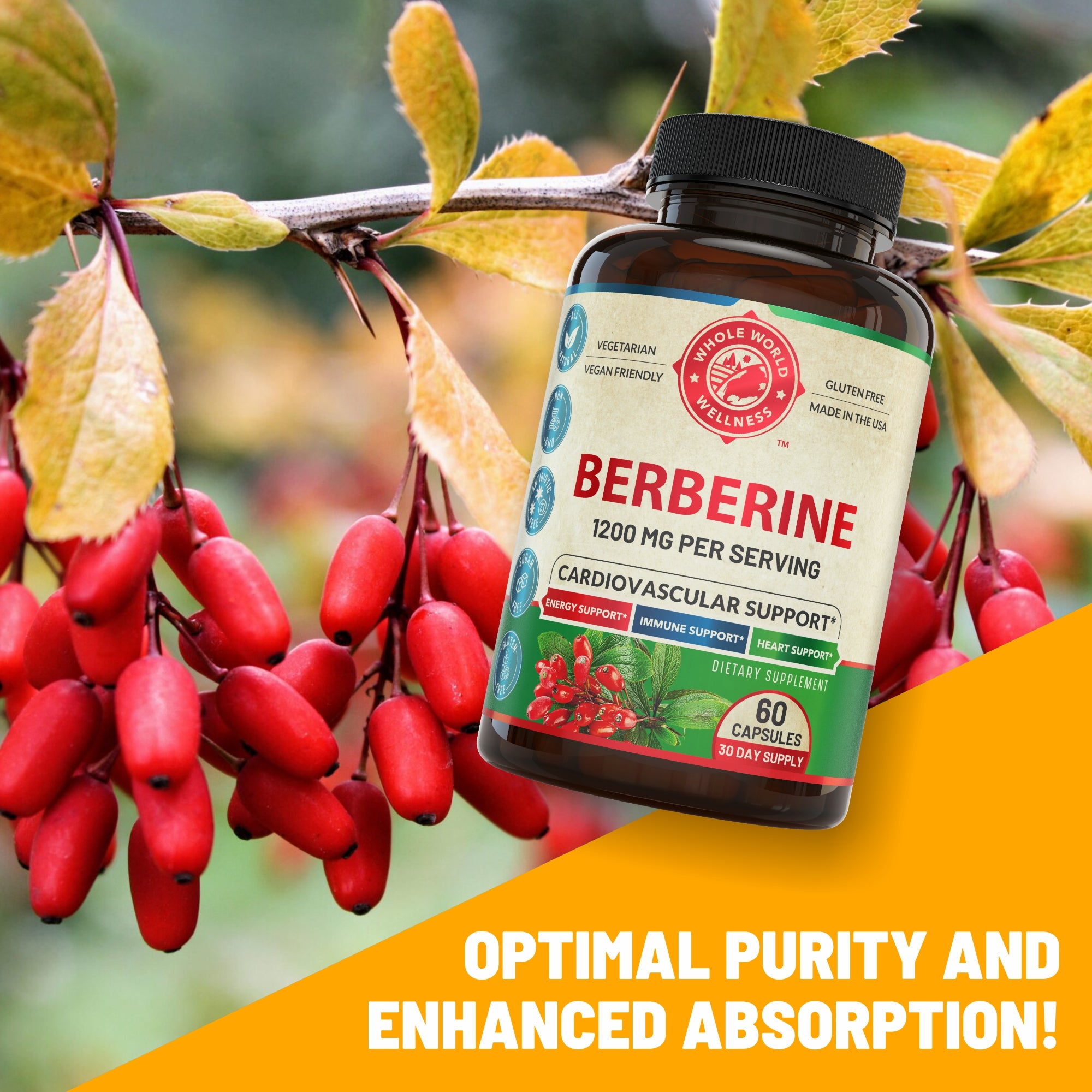 Premium Berberine Supplement