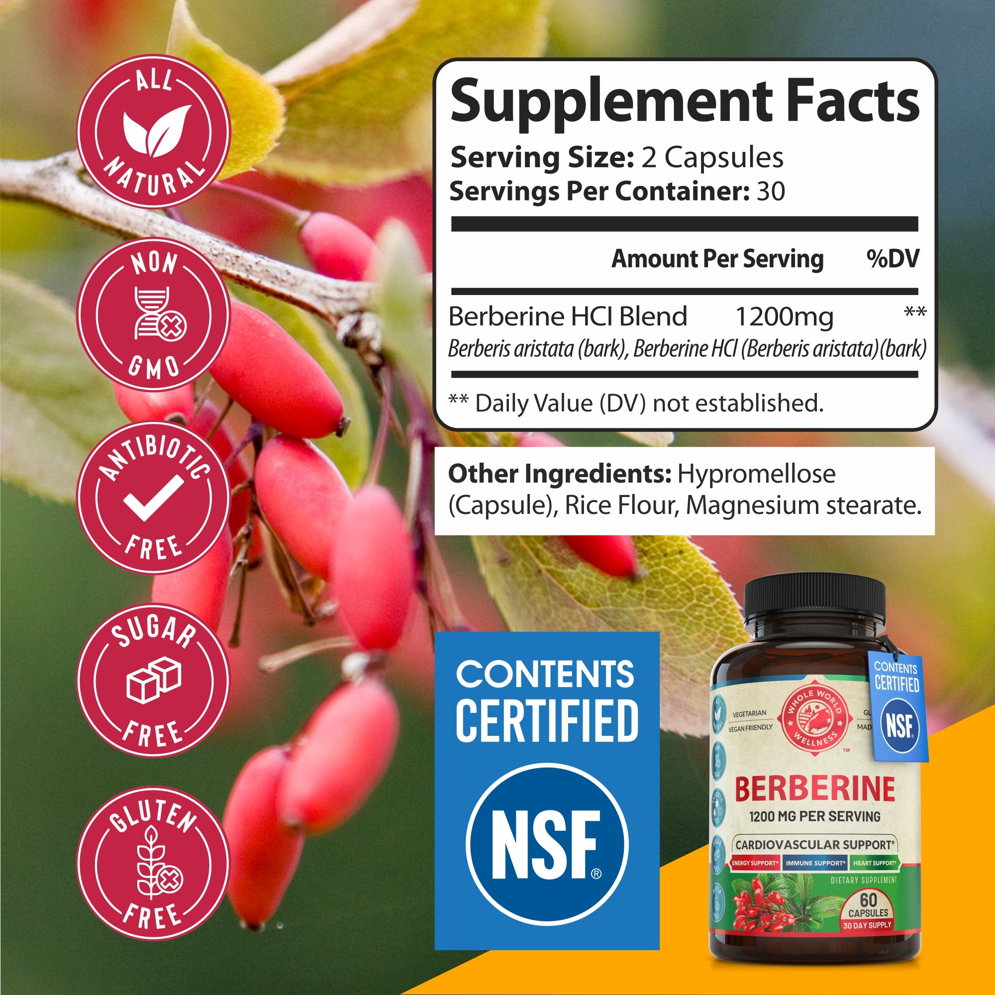 Premium Berberine Supplement